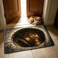 thumbnail image 5 of HCBY Doormat, 15.7x23.6in 3D Illusion Funny Welcome Mat, Non-Slip Absorbent Floor Rug, Humane Pet Deterrent Mat for Entryway Indoor Outdoor, 5 of 6