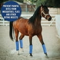 thumbnail image 6 of Polyester Horse Leg Wraps Gear for Riding - for Enthusiasts with Versatile Style Options 4PCS, 6 of 7