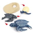 thumbnail image 3 of Colección de tortuga Yotijar Incluye réplicas de huevos larvas tortugas jóvenes y adultas s pintadas Juego de crecimiento de tortugas marinas, 3 of 8