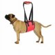 thumbnail image 1 of Cinturón transportador para mascotas, cinturón transportador para perros, cinturón auxiliar para mascotas, cinturón protector para mascotas, cinturón protector para perros, suministros para mascotas (rojo M) JM, 1 of 5