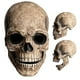 thumbnail image 4 of Máscara de calavera Sunnimix para Halloween Tocado de esqueleto, 4 of 8