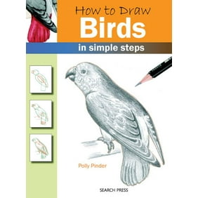 Trosley S How To Draw Cartoon Cars Paperback Walmart Com