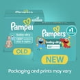 thumbnail image 2 of Pañales Pampers Baby Dry, tamaño 5, 78 unidades, absorbentes, 2 of 8
