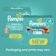 thumbnail image 2 of Pañales Pampers Baby Dry, tamaño 5, 78 unidades, absorbentes, 2 of 8