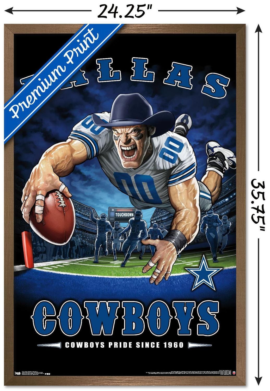 NFL Dallas Cowboys - End Zone 17 Wall Poster