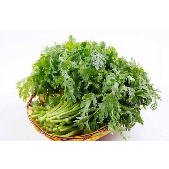 1000  Chrysanthemum Seeds, Tần Ô, Cải Cúc, Tong Ho - [Mai's Family]