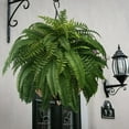 thumbnail image 2 of UV Resistant Lifelike Artificial Boston Fern, Artificial Boston Ferns For Outdoors, Faux Ferns For Outdoor Planter, Faux Ferns Fake Ferns Artificial Plants, for Home, Office, Garden Decoration (2pcs), 2 of 7