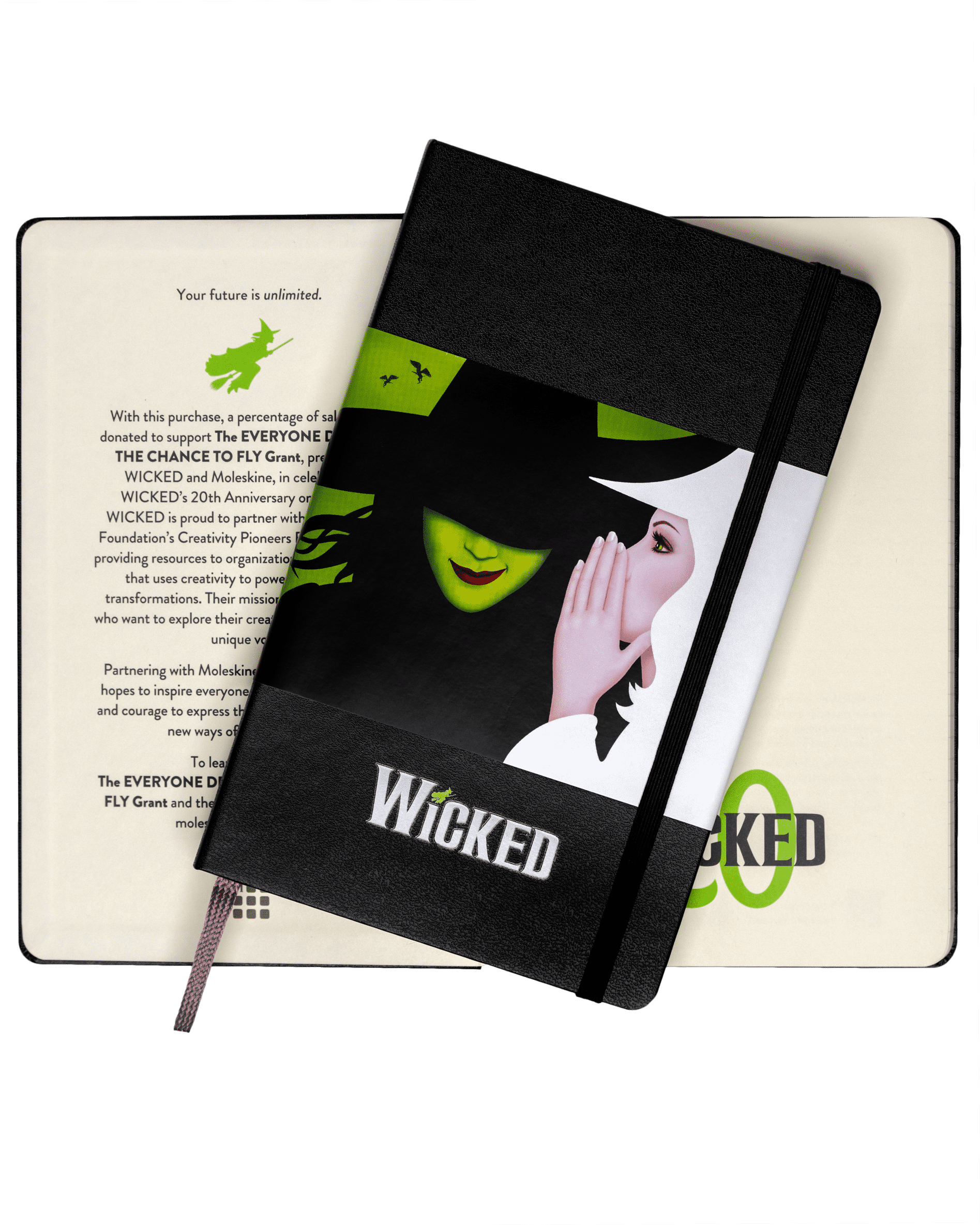 Moleskine Limited Edition Wicked 20th Anniversary Notebook, Hard Cover, Large (5" x 8.25"), Ruled, Black, 240 Pages