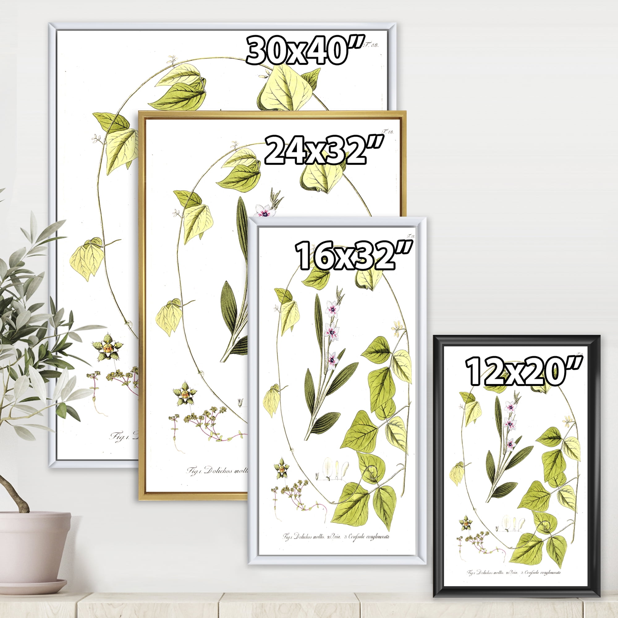 Designart 'Ancient Botanicals XXI' Traditional Framed Canvas Wall Art Print