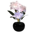 thumbnail image 4 of Fibre Optic Flower Bouquet LED Lamp For Home Decor Vase Design Color Gradient 16.9X6.2X6.2in Romantic Atmosphere 1Pack, 4 of 5