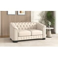 thumbnail image 4 of Modern 64.3" Velvet Loveseat Sofa for Living Room or Bedroom - Thick Removable Cushion, 4 of 26