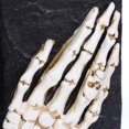 thumbnail image 2 of 6inch Halloween Themed Resin Ghost Hand Book For Halloween Indoor Decorations, 2 of 5