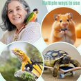 thumbnail image 5 of 1set Bearded Dragon Lizard Leash Harness Set with Bowknot Collar Hat Collar Scooter 3 Size Dinosaur Wing Lizard Harness Leash Adjustable Small Animal Harness for Lizard Reptile and Small Pet Black, 5 of 9