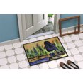 thumbnail image 4 of Carolines Treasures SS8196MAT Paillasson Intérieur & Extérieur 18 x 27 Po. Poodle, 4 of 4