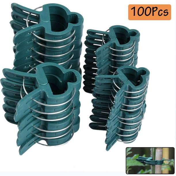 100 Piezas Clips para Plantas Clips Estables Clips para Plantas, Clips para Plantas de Jardín de 2 Tamaños Reutilizables para Brotes Pequeños y Grandes Espalderas Arcos de Rosas Ayudas para Escalar Sincero Hogar