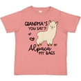 thumbnail image 3 of Inktastic Grandma's You Say Alpaca My Bags Boys or Girls Toddler T-Shirt, 3 of 5