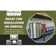 Mushroom Grow Kit (Quick Kit)