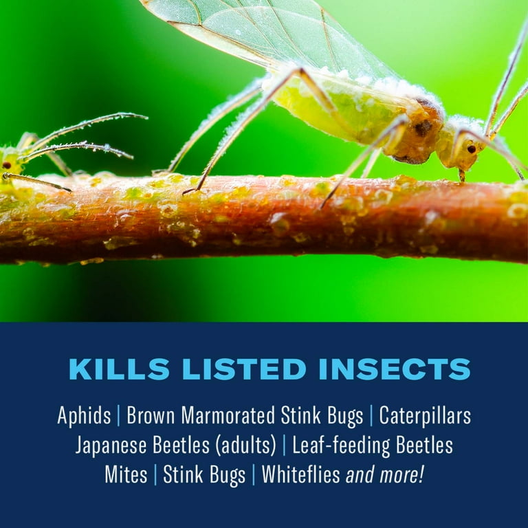 BioAdvanced Complete Brand Insect Killer for Soil and Turf I