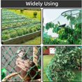 thumbnail image 4 of Filet de Protection pour Plantes Filet Anti-Oiseaux pour Arbres Fleurs Fruits 2x5M Semis, Filet de Protection pour Plantes, 4 of 5