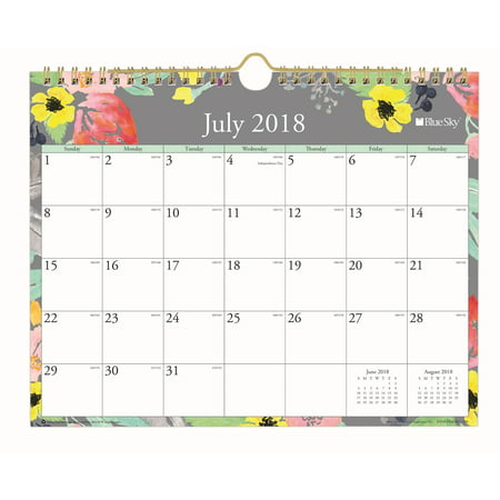 Blue Sky 11" x 8.75" Wall Calendar, July 2018-June 2019 ...