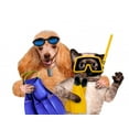 thumbnail image 2 of Dog with Cat Diver Wall Mural by Wallmonkeys Peel and Stick Graphic (18 in W x 14 in H) WM74793, 2 of 4