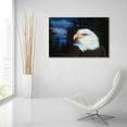 thumbnail image 6 of Epic Art 'The Face Of Freedom' by R. Hed, Acrylic Glass Wall Art, 36"x24", 6 of 8