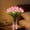 Pink With Vase, variant on 15 Pcs Radiant Romantic Tulip Light – Twinkling Tree Tulips LED Night Light, Flower Shaped Ambient Lamp for Bedroom, Home Decor & Gift