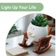 thumbnail image 4 of Mecedora Planter Pot yiilead con forma de cara sonriente, 12 cm, 4 of 6