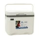 thumbnail image 3 of Nevera portátil de 6L con asa, caja de hielo portátil con aislamiento, caja aislada para fiestas, uso comercial al aire libre, 3 of 8