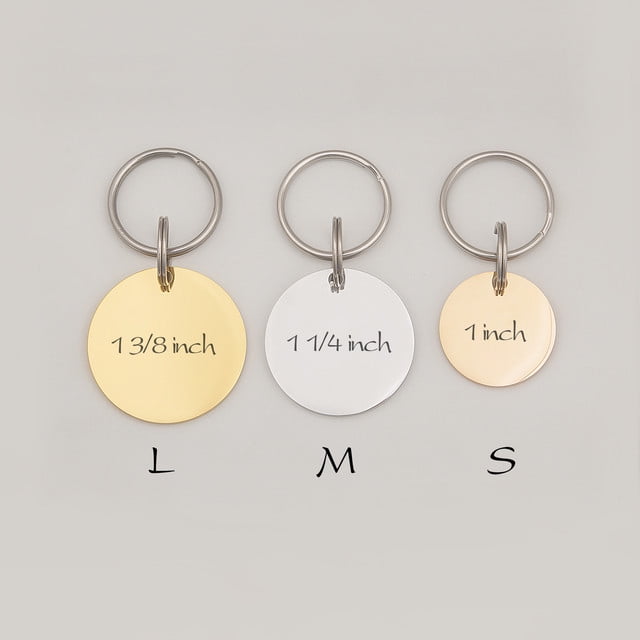 Anavia Stainless Steel Double Sided Round Name - Pet Portrait Photo Engraved Dog & Cat ID Tag, Silver, M