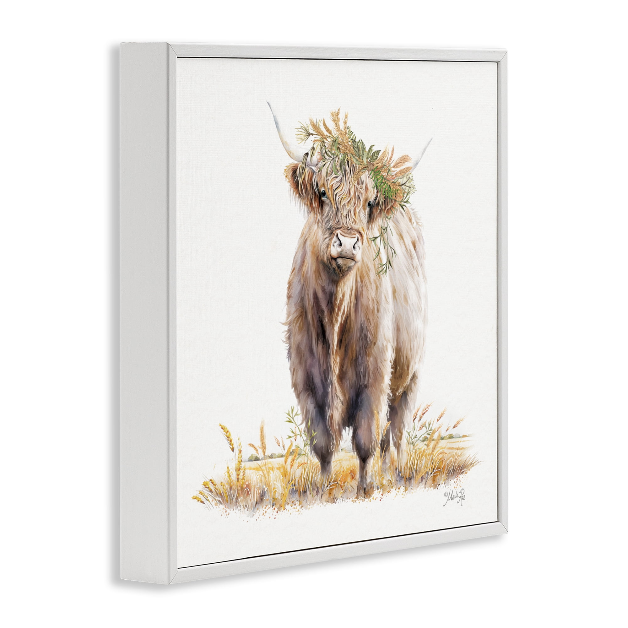 Stupell Industries Ollie the Highland Cattle White Framed Giclee Art, design by Marla Rae