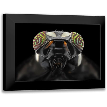 Jusa Donald 14×11 Black Modern Framed Museum Art Print Titled – The Darth Vader