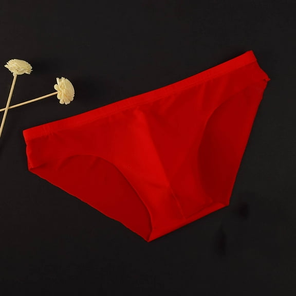 Sunvit-Panties Men’s Sheer Bikini Underwear - Nylon Spandex, Comfortable & Breathable, Red, Size 2XL, Perfect for Daily Wear & Under Form-Fitting Clothes