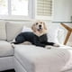 thumbnail image 5 of Sport Dog Onesie - Shedding Of Dog Hair For Home, Car, Travel, Anxiety Calming Shirt, Uv And Tick Protection, 5 of 5