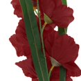 thumbnail image 1 of Gladiola artificial Zulema 80 cm Rojo, 1 of 8