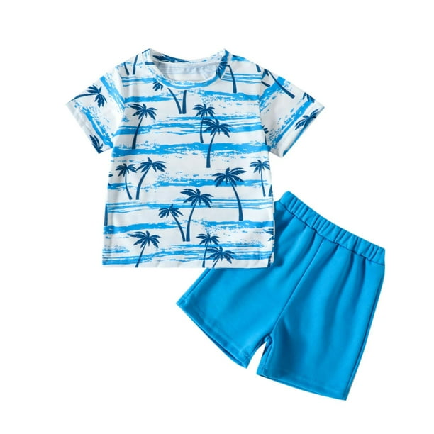 Boy's T Shirt Mix Set 2 Pcs