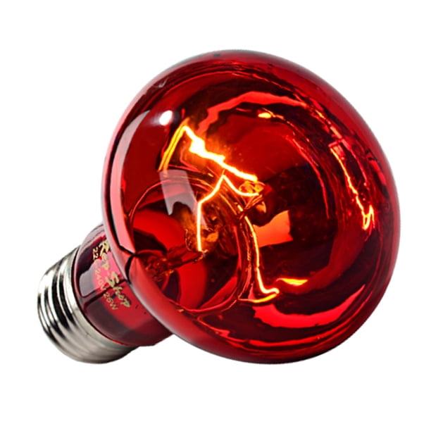 Bombilla De Lámpara De Calor Para Reptiles, Fuente De Calor De 24 Horas, Reflector Especial Integrado Seguro, Luz De Calor Infrarroja Versátil De 60W Para Serpientes Y Tortugas ANGGREK AC8279