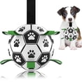 thumbnail image 1 of Pelota de fútbol para perros Domchan, juguete interactivo para pequeños y medianos, 1 of 7