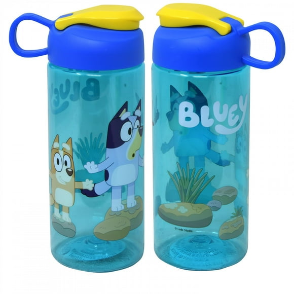 Bluey and Bingo Snap Close 16.5oz Sullivan Bottle