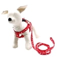 thumbnail image 4 of AMERTEER Nylon Small Dog Cloth Chest Leash Pet Dog Chest Leash Leash Rope, 4 of 8