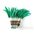 thumbnail image 1 of Tocado de plumas de jefe para espectáculos de danza, presentaciones en escenario y disfraces. Verde, 1 of 9