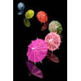 thumbnail image 2 of C. Thomas McNemar 17x24 Gallery Wrapped Canvas Wall Art Titled - Cocktail Umbrellas VIII, 2 of 4