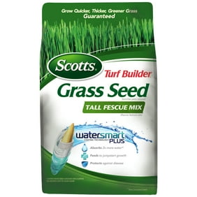 Kentucky 31 Tall Fescue Grass Seed 50 Lbs Scotts Turf Builder Grass Seed Tall Fescue Mix 7 Lbs