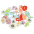thumbnail image 4 of HLONK 30Pcs Daisy Flower Push Pin Bulletin Board Push Pin Cork Board Thumb Tacks, 4 of 8