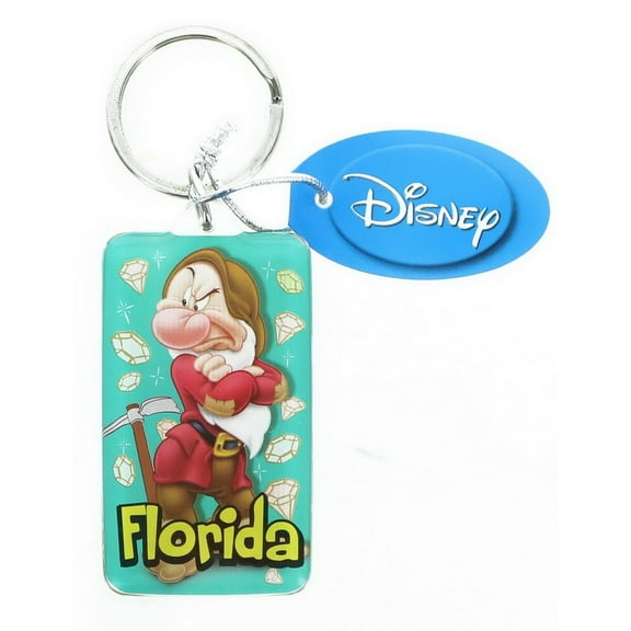 Disney Grumpy Florida Rectangular Lucite Key Ring