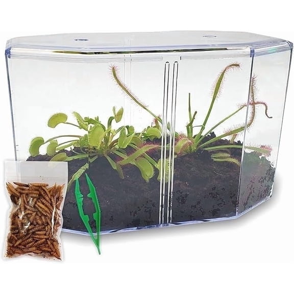 Live Venus Flytrap & Sundew Kit with Carnivorous Plant Food, Tweezers, Peat Pellets & 7.5" Clear Tank – Bug-Eating Indoor STEM Plant Gift Fly Trap