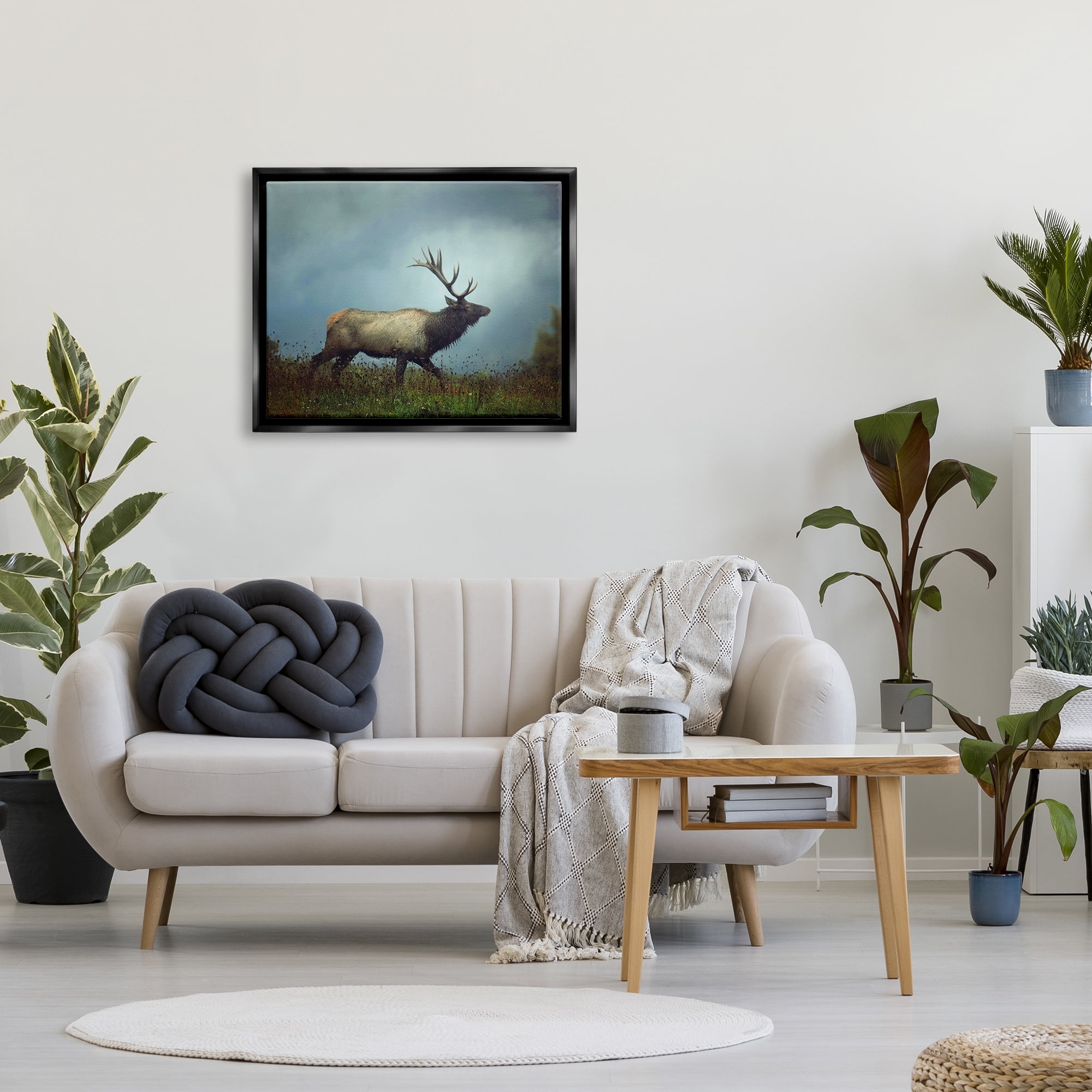 Stupell Industries Serene Elk in Nighttime Clearing Wildlife Photography Photograph Jet Black Floating Framed Canvas Print Wall Art, Design by Carrie Ann Grippo-Pike
