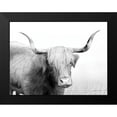 thumbnail image 2 of Deiter, Lori 24x19 Black Modern Framed Museum Art Print Titled - Highland Cow, 2 of 5