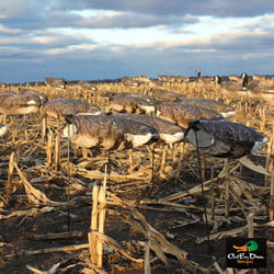 WHITE ROCK DECOY COMPANY SPECKLEBELLY GOOSE WIND SOCK HUNTING DECOYS