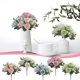thumbnail image 1 of Lekihaqq Artificial Silk Flowers Mixed Peonies Roses Home Wedding Decor Centerpiece Fake Bouquet Floral Arrangement For Table Party Gift, 1 of 7